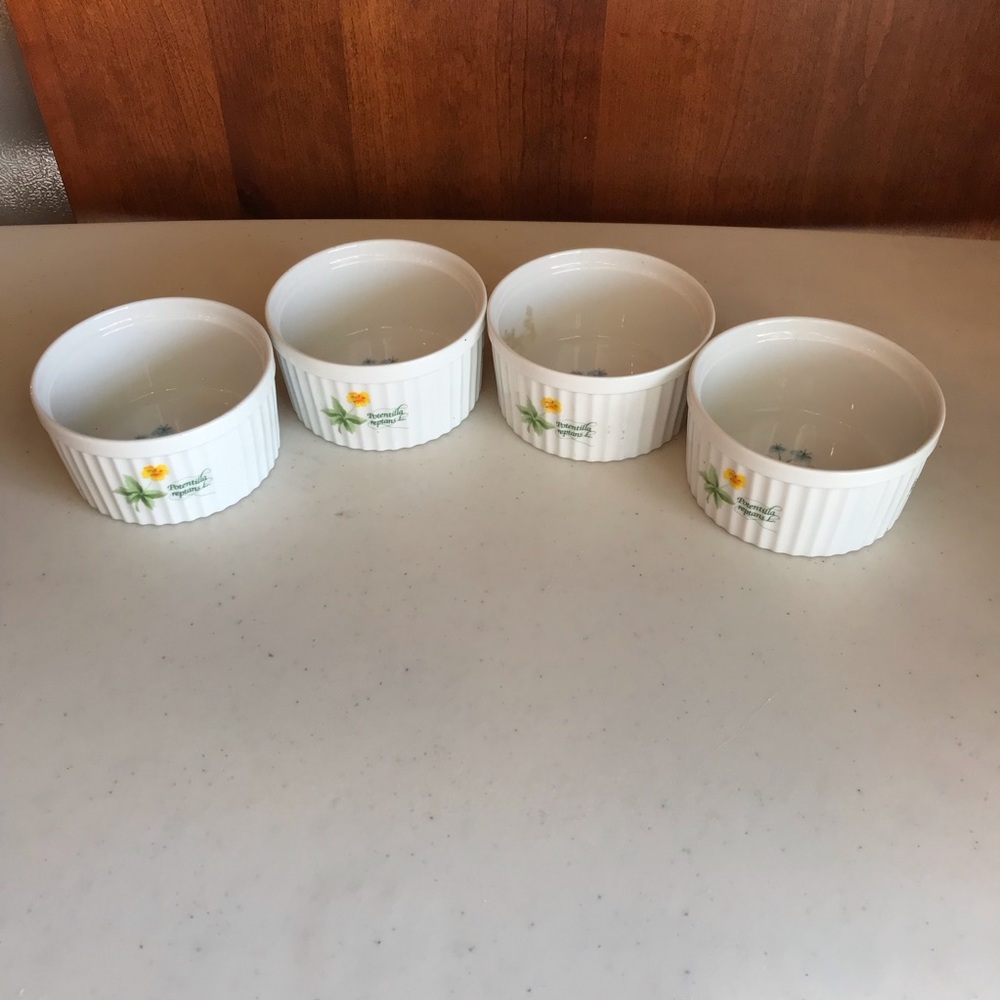 Set of Four Anchor Ovenware Ramekins 8oz Japan Multicolored Botanical